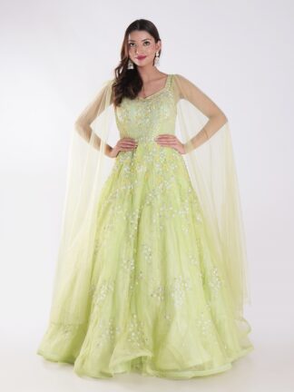 A Beautiful Light Green With Delicate Embroidery And Embellishment Cocktail Party Wear Gown