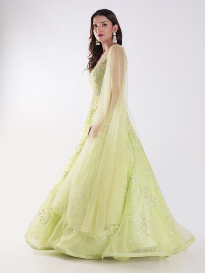A Beautiful Light Green With Delicate Embroidery And Embellishment Cocktail Party Wear Gown